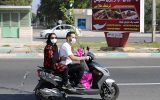 ۱۰ هزار اصله نهال در روز درختکاری در کیش توزیع شد