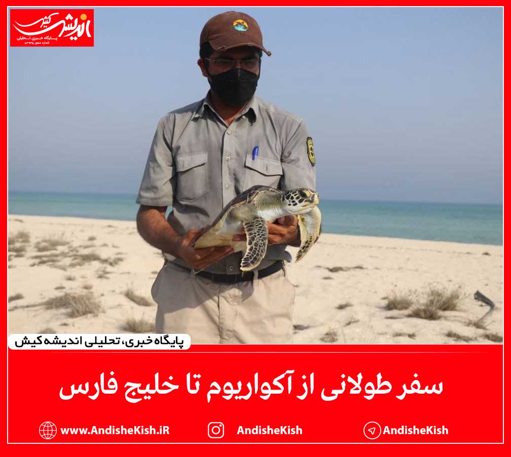 سفر طولانی از آکواریوم تا خلیج فارس