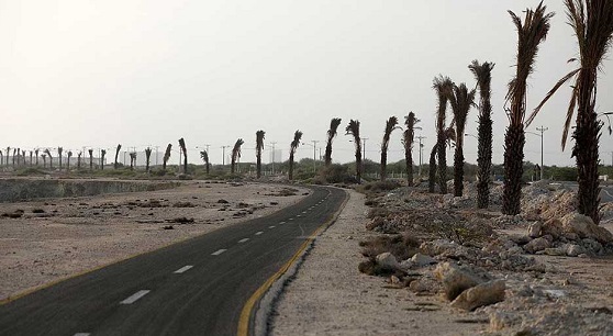هر دم از این باغ بری می رسد