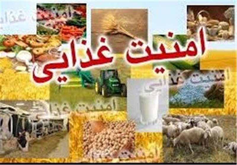 کشاورزی شهری، پاسخی برای امنیت غذایی/ دلایل گسترش کشاورزی شهری در کشورهای پیشرفته دنیا چیست؟