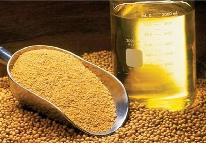 سقوط قیمت‌های جهانی روغن با پیشتازی پالم 